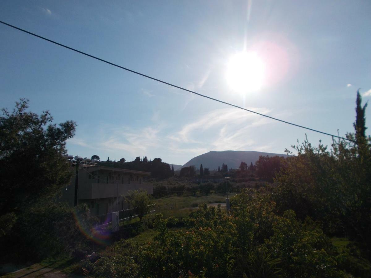 Summer Holidays In Laganas Apartments 외부 사진